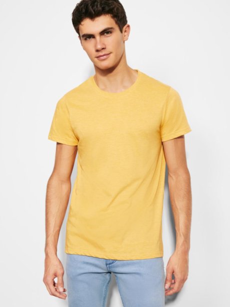 T-Shirt Mesclada de Homem Roly Fox (150g)